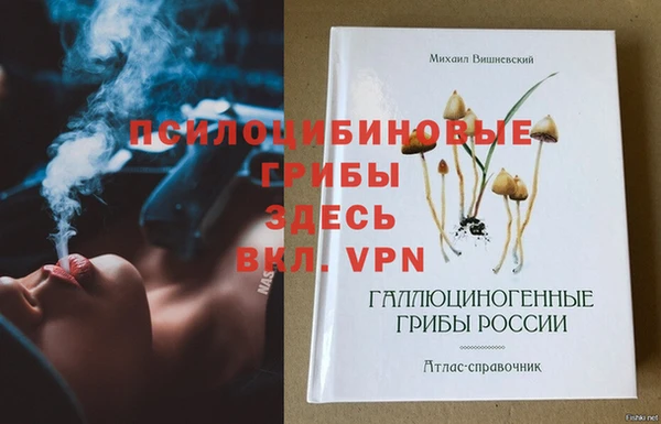 герыч Алексин