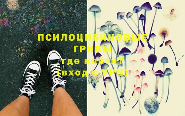 винт Алзамай