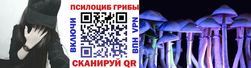 Псилоцибиновые грибы Magic Shrooms  Купить закладки  Северодвинск 
